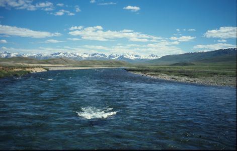 Deosai Plains