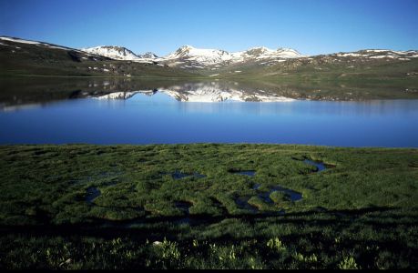 Deosai Plains připomíná Skandinávii