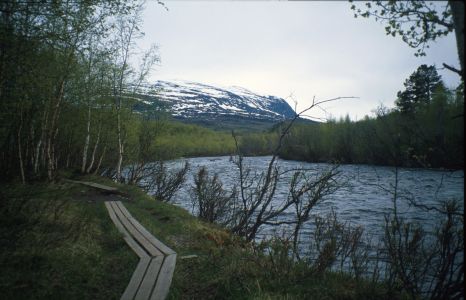 Začátek Kungsleden podél Abiskojokk