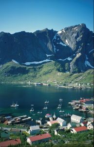 Reine