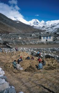 Lobuche
