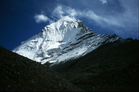 Vasuki