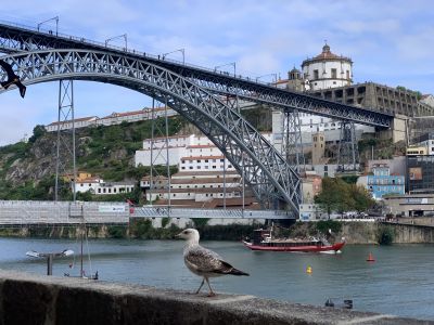 Ponte Dom Luís I