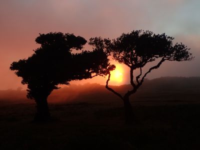 Fanal - západ slunce