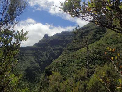 Pinaculo