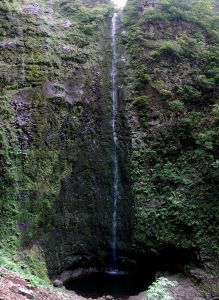 Caldeirão Verde