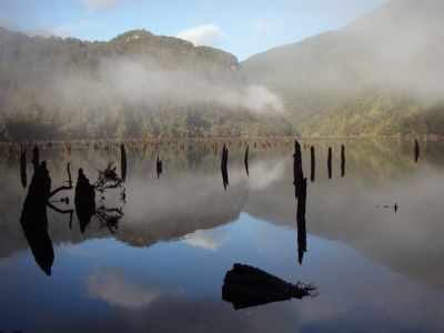 Loch Maree vzniklo díky kamenné lavině, která přehradila údolí. Z vody koukají pahýly stromů zatopeného lesa.