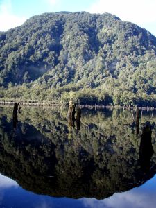 Fantastické zrcadleni Loch Maree