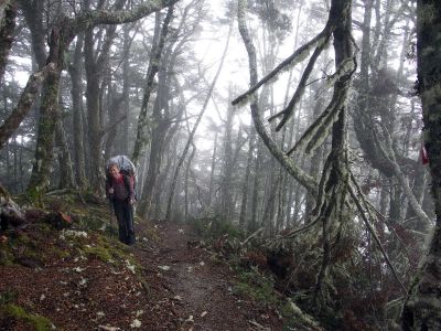 V mlze a mrholení jsme stoupali do 1800 m – ze 300 m n.m.