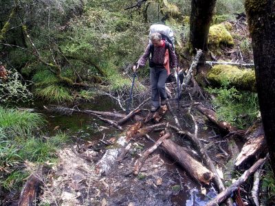 Rockburn Trek
