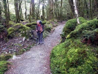 Přicházíme na Routeburn Trek , tady je vše připraveno i pro movité Japonce - nádherná upravená cesta.