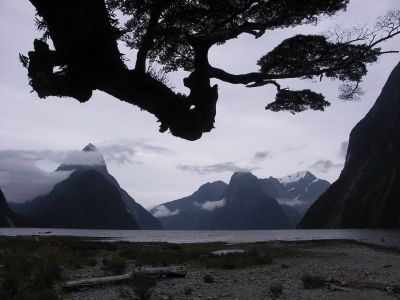 Milford Sound