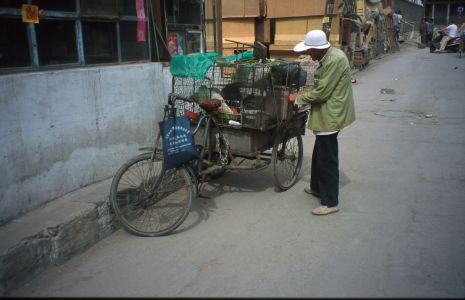Datong (Ta Tchung) - momentka ve městě