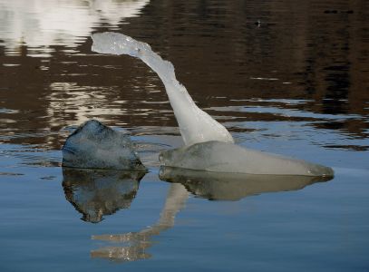 Ledová krása Jökulsarlónu