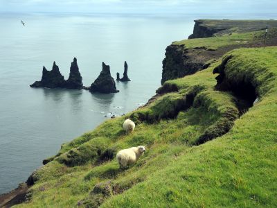 Reynisdrangar - skály trollů u Víku