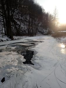 Někde jsem viděl stopy mých předchůdců.