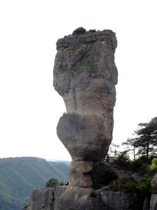 Le Vase de Sèvres