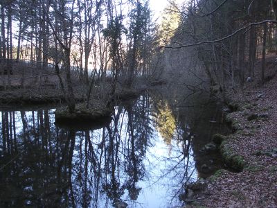 Izvir Lipsenjščice - vyvěračka z Križne jamy