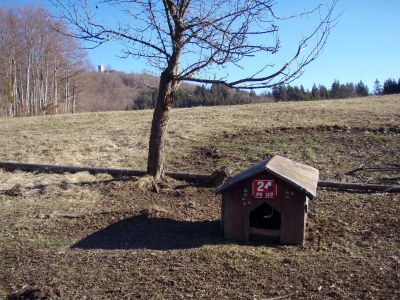 Ve Svaté Aně má číslo popisné i psí bouda.