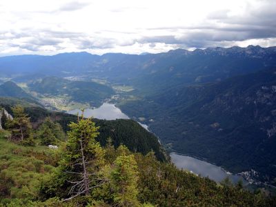 Bohinjské jezero z Pršivce
