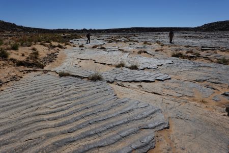 Tassili znamená v jazyce Tuaregů náhorní plošina s řekami - zde je jedno z bývalých řečišť.