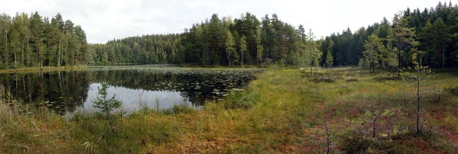 Krajina jezer, močálů a rašelinišť