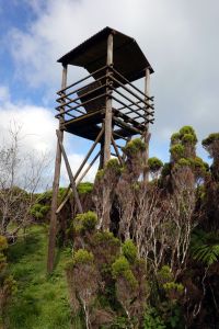 Rozhledna v Jardim Botanico de Pedro Miguel