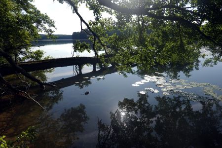 Woliński Park Narodowy