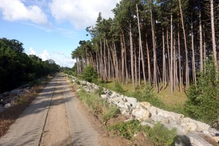 Betonová cesta nebyla moc příjemná.