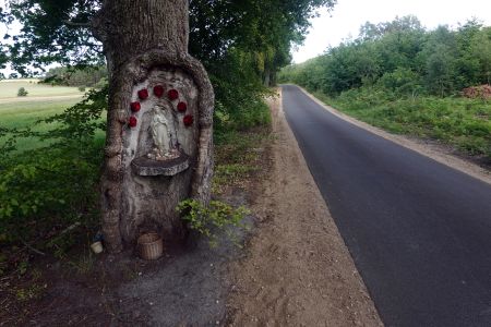 Konečně jsem se z písku dostal na nádhernou cyklostezku.
