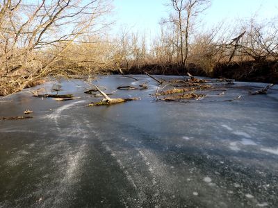 Slalom mezi padlými stromy