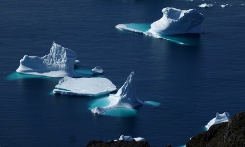 U břehu jsem obdivoval u ker mnoho odstínů modré.