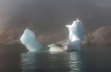 Při zpáteční cestě se naše loď v mlze vyhýbala obrovskému poli ker.