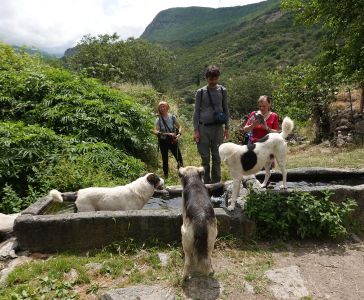Celý trek s námi šli tři psi.