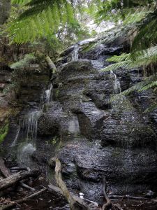 Henderson Falls v NP Otway