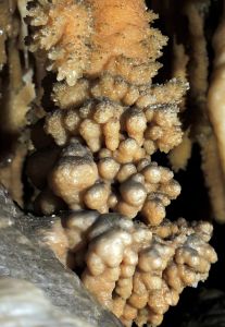 Po jeskyni Jillabenan Cave jsme chodili s průvodcem , ale stálo to za to!