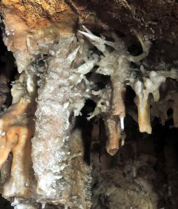 Krápníky tu rostly všemi směry.