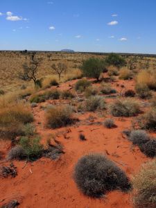 Z rudé pouště poprvé vidíme nejslavnější skálu Austrálie - Uluru.