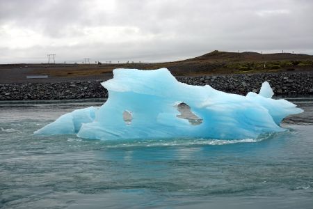 Kra pluje z jezera Jökullsárlón do moře.