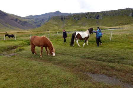 Islandští mimochodníci.