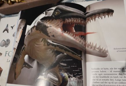 Takto asi mosasaurus vypadal.