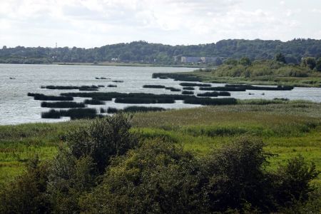 Pohled na jezero Brabrand Sø
