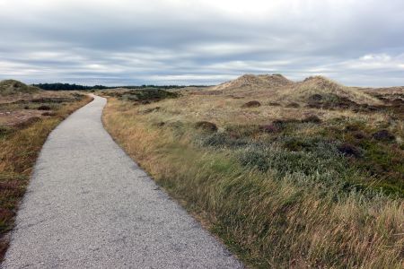 a kolem zarostlých písečných dun.