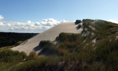 V místě Råbjerg Mile mě překvapily velké písečné duny.
