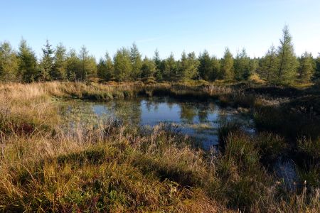 Jezírko na hřebeni Levočských vrchů