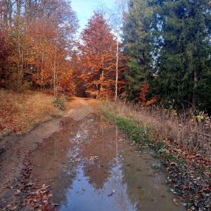 Po deštích se naplnily louže na cestách.