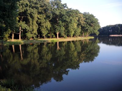 Zrcadlo na zámeckém rybníku