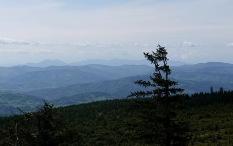 Malá Fatra přitažená teleobjektivem - vlevo je  Velký Rozsutec.