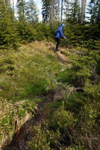 Objevili jsme i pramen Černé Wisly  - nebyl nijak označen.