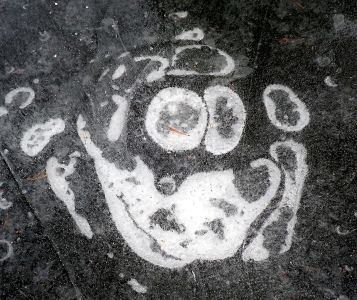 Mikimaus, smajlík nebo Pluto?